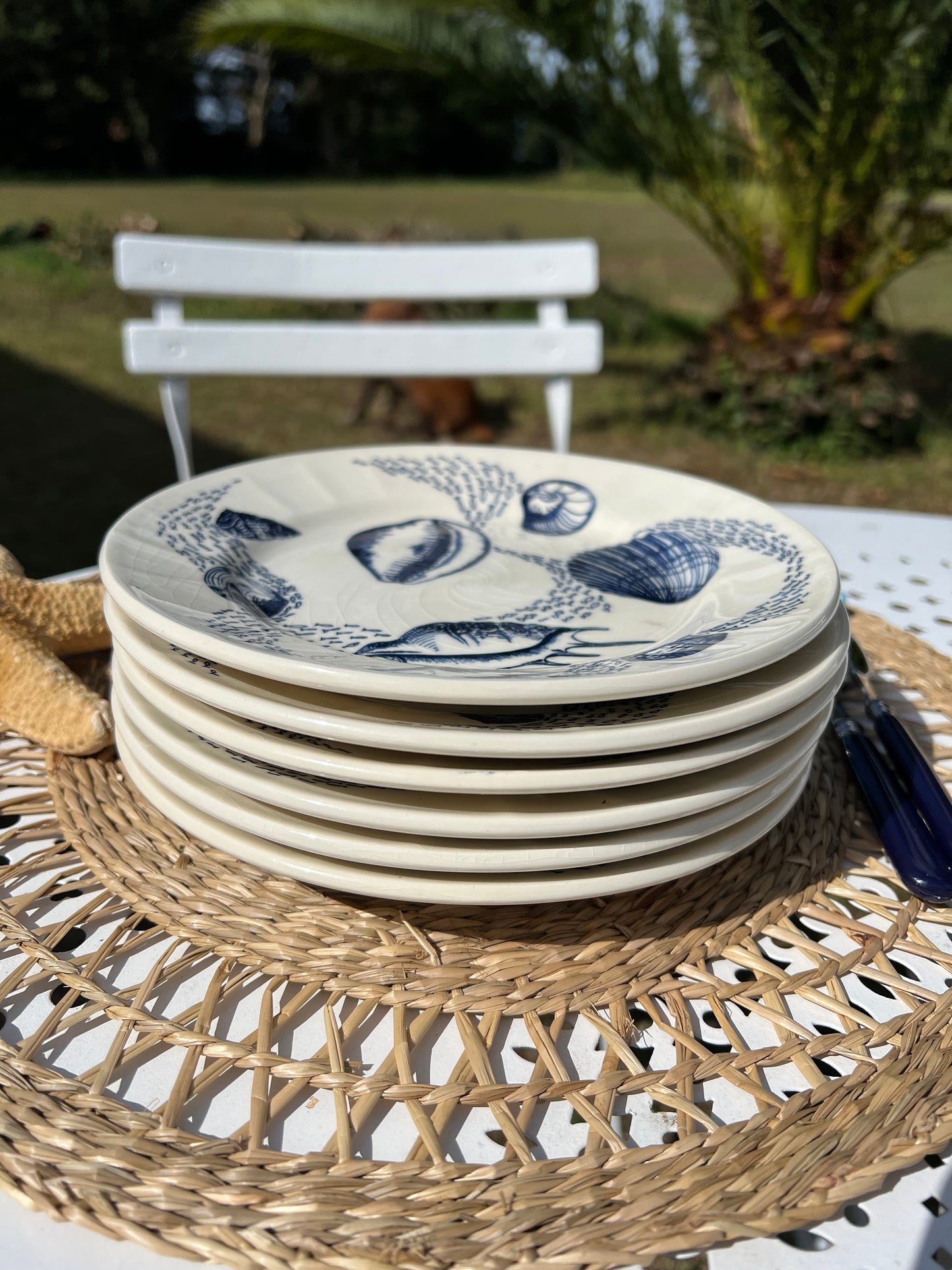 6 assiettes coquillages et un saladier