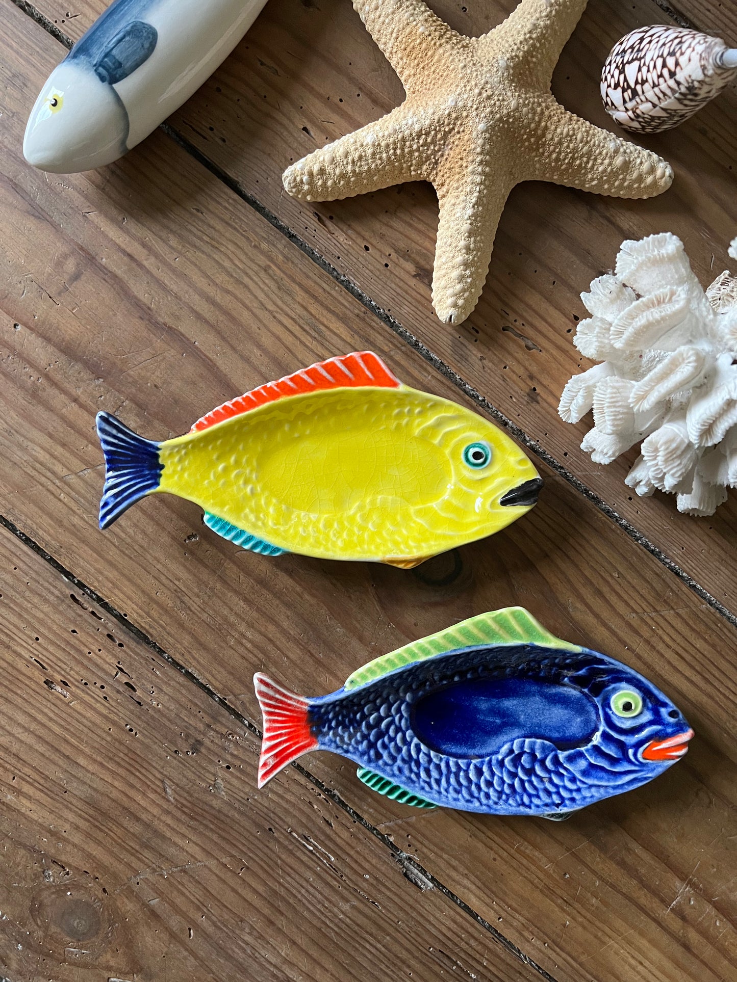 2 petits raviers poissons