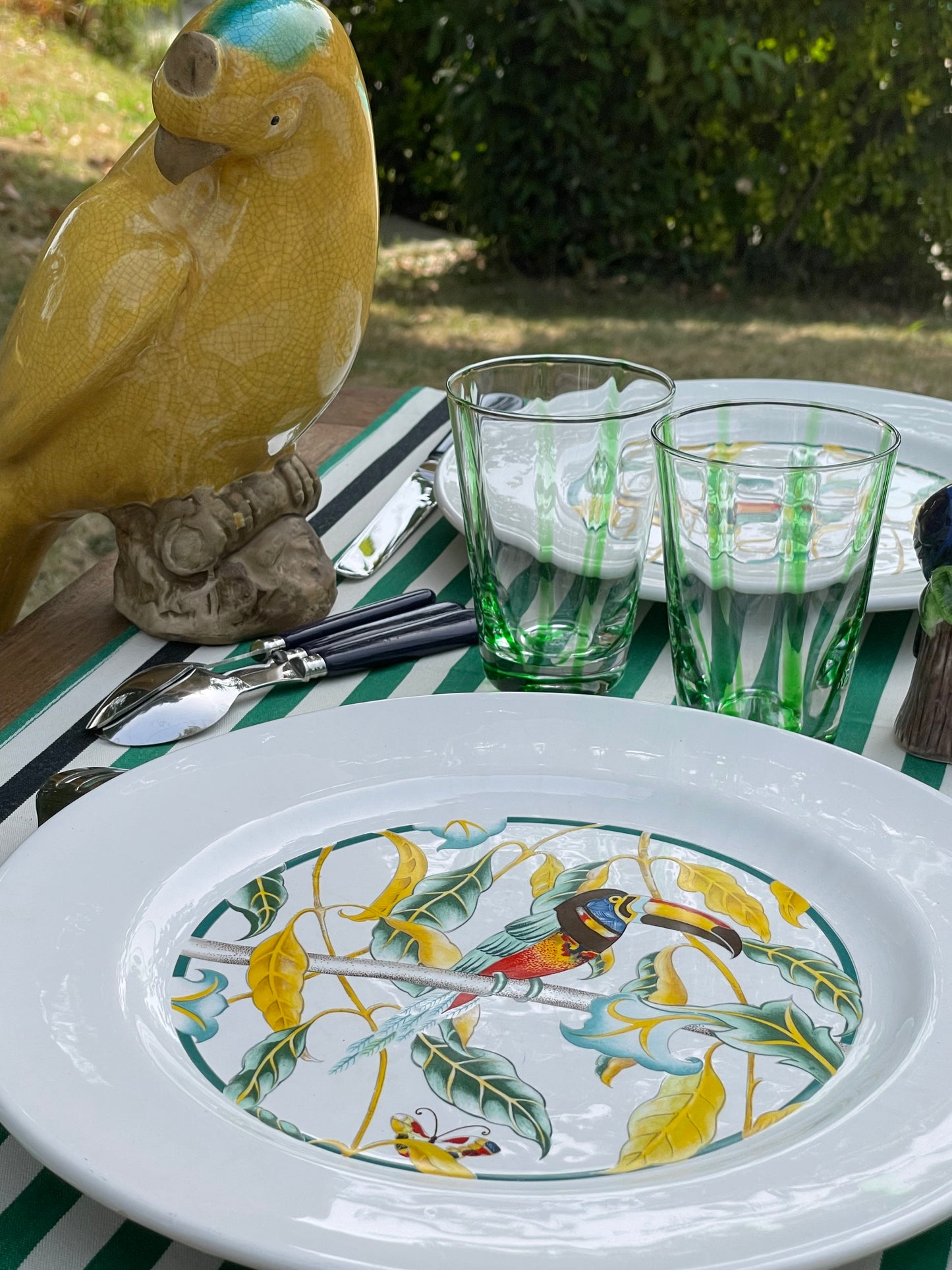 6 grandes assiettes toucans