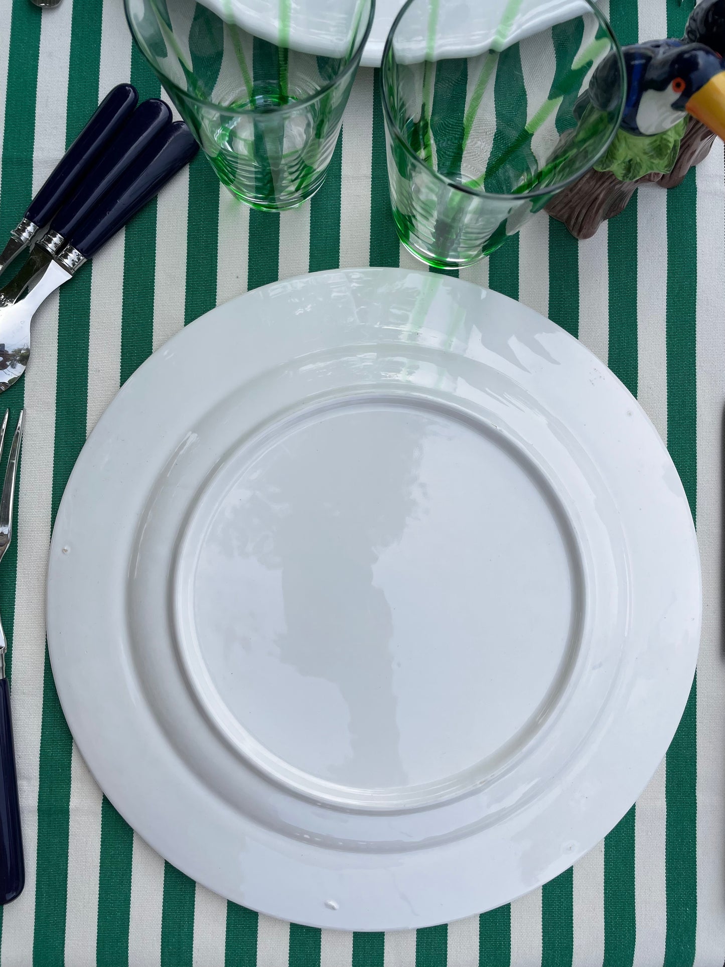 6 grandes assiettes toucans
