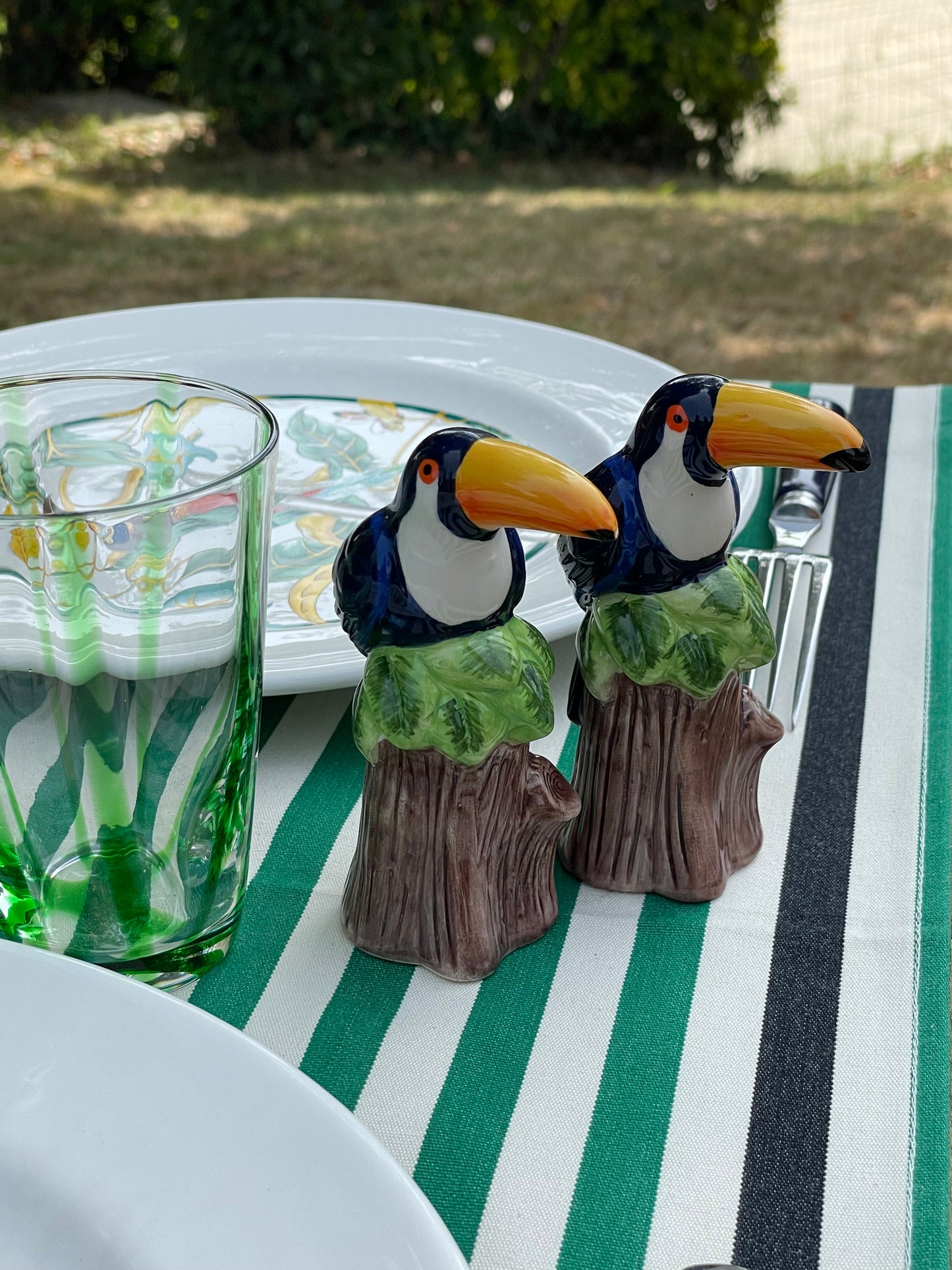 6 grandes assiettes toucans