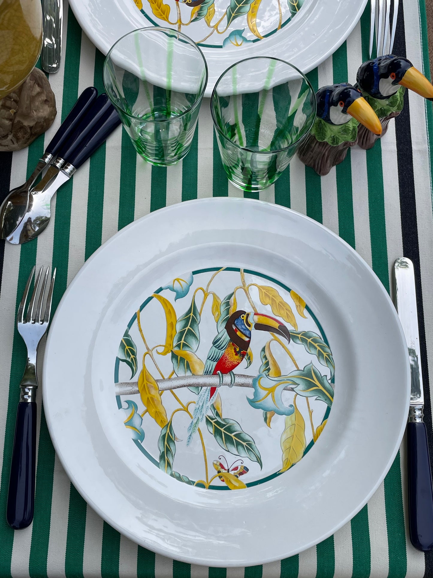 6 grandes assiettes toucans