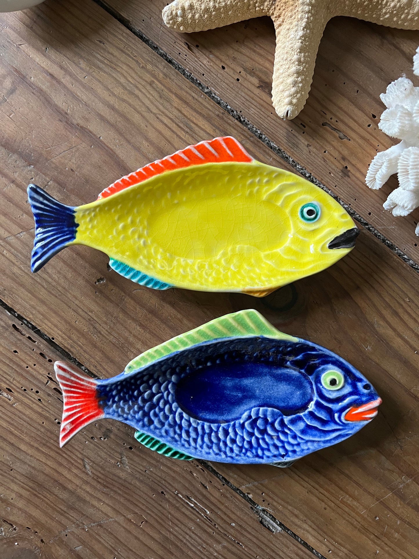 2 petits raviers poissons